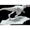 DINOSAUR LIMEX SKELETON TYRANNOSAURUS - Bandai