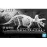 DINOSAUR LIMEX SKELETON TRICERATOPS - Bandai