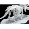 DINOSAUR LIMEX SKELETON TRICERATOPS - Bandai
