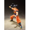 DRAGON BALL Z - S.H. FIGUARTS SON GOKU (A SAIYAN RAISED ON EARTH) - Bandai