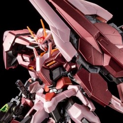 MG 00 GUNDAM SEVEN SWORD/G TRANS-AM SPECIAL COATING 1/100 - Bandai