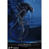 ALIENS - ALIEN WARRIOR