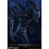ALIENS - ALIEN WARRIOR