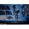 ALIENS - ALIEN WARRIOR
