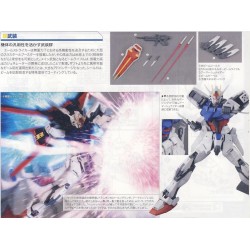 MG AILE STRIKE GUNDAM Ver.RM 1/100 - Bandai
