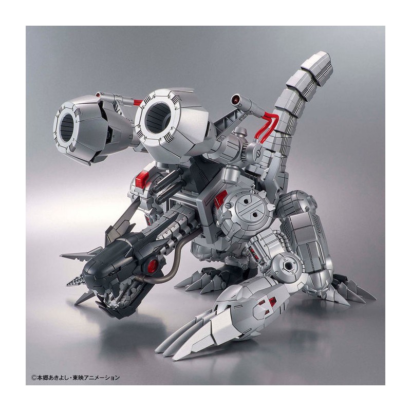 209764_5
