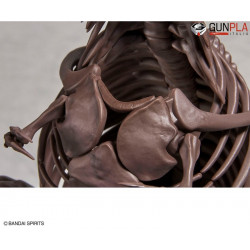 Imaginary Skeleton Tyrannosaurus 1/32 by Bandai