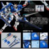 MG 00 XN RAISER 1/100
