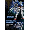 MG 00 XN RAISER 1/100